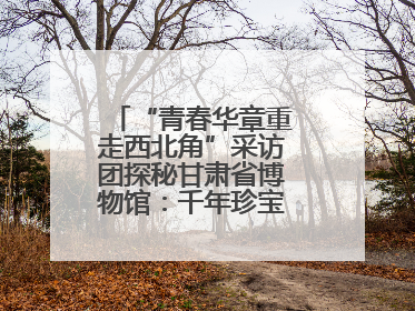 “青春华章重走西北角”采访团探秘甘肃省博物馆：千年珍宝诉说丝路辉煌
