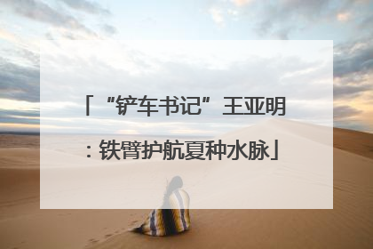 “铲车书记”王亚明：铁臂护航夏种水脉