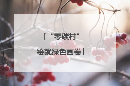 “零碳村” 绘就绿色画卷