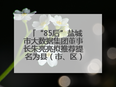 “85后”盐城市大数据集团董事长朱亮亮拟推荐提名为县（市、区）长人选
