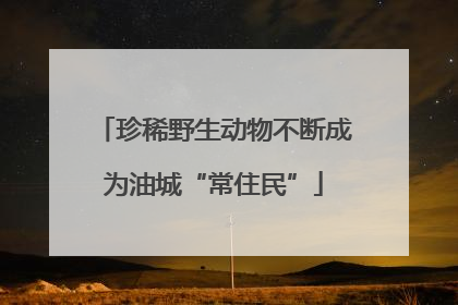 珍稀野生动物不断成为油城“常住民”