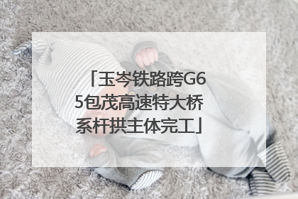 玉岑铁路跨G65包茂高速特大桥系杆拱主体完工
