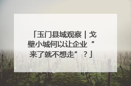玉门县域观察｜戈壁小城何以让企业“来了就不想走”？