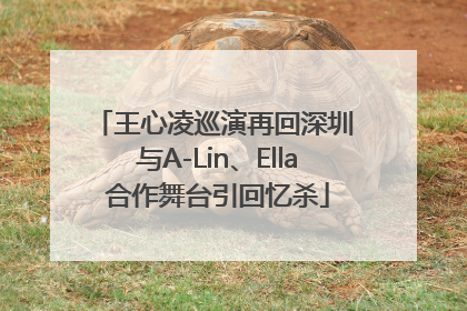 王心凌巡演再回深圳 与A-Lin、Ella合作舞台引回忆杀