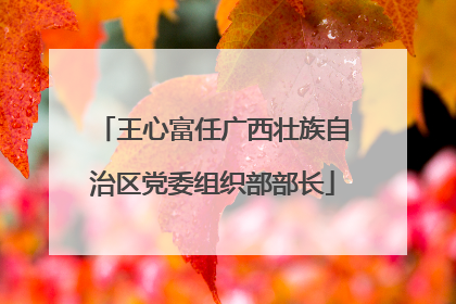王心富任广西壮族自治区党委组织部部长