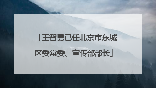 王智勇已任北京市东城区委常委、宣传部部长