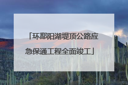 环鄱阳湖堤顶公路应急保通工程全面竣工