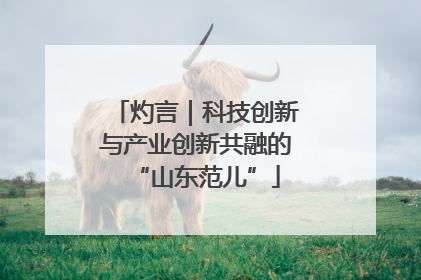 灼言｜科技创新与产业创新共融的“山东范儿”