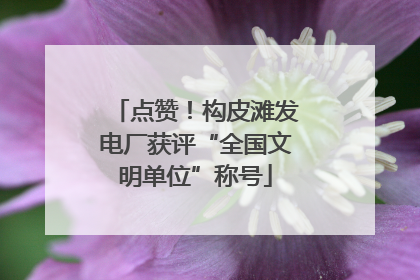 点赞！构皮滩发电厂获评“全国文明单位”称号