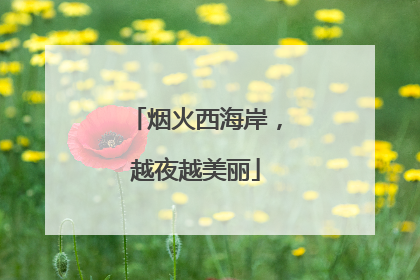 烟火西海岸，越夜越美丽