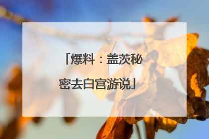 爆料：盖茨秘密去白宫游说