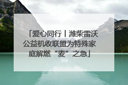 爱心同行丨潍柴雷沃公益机收联盟为特殊家庭解燃“麦”之急