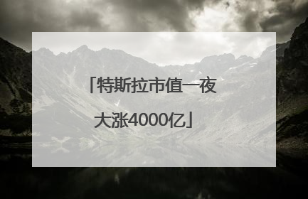 特斯拉市值一夜大涨4000亿