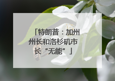 特朗普：加州州长和洛杉矶市长“无能”