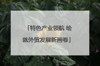 特色产业领航 绘就外贸发展新画卷
