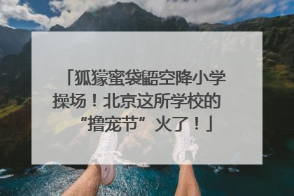 狐獴蜜袋鼯空降小学操场！北京这所学校的“撸宠节”火了！