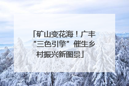 矿山变花海！广丰“三色引擎”催生乡村振兴新图景