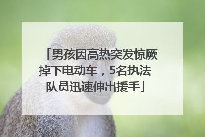 男孩因高热突发惊厥掉下电动车，5名执法队员迅速伸出援手