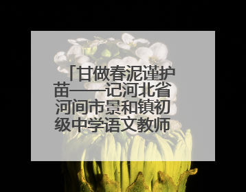 甘做春泥谨护苗——记河北省河间市景和镇初级中学语文教师程桂霞