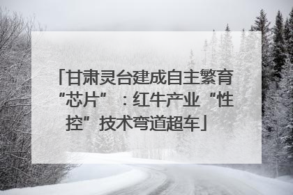 甘肃灵台建成自主繁育“芯片”：红牛产业“性控”技术弯道超车