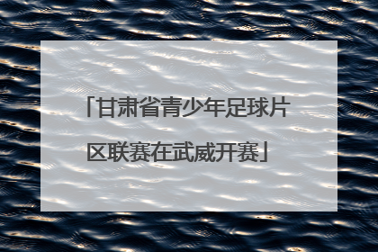 甘肃省青少年足球片区联赛在武威开赛