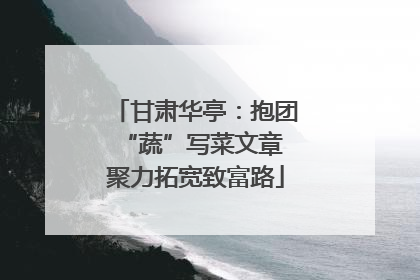 甘肃华亭：抱团“蔬”写菜文章 聚力拓宽致富路