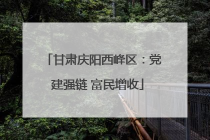 甘肃庆阳西峰区：党建强链 富民增收