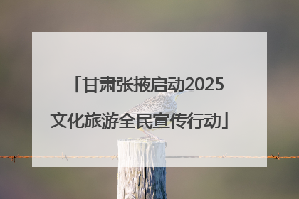 甘肃张掖启动2025文化旅游全民宣传行动