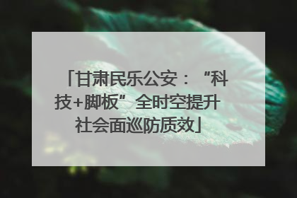 甘肃民乐公安：“科技+脚板”全时空提升社会面巡防质效