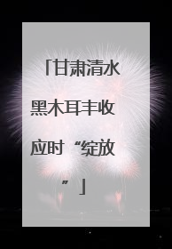 甘肃清水黑木耳丰收应时“绽放”