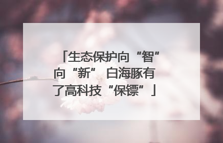 生态保护向“智”向“新” 白海豚有了高科技“保镖”