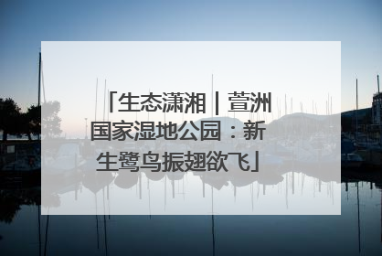 生态潇湘｜萱洲国家湿地公园：新生鹭鸟振翅欲飞