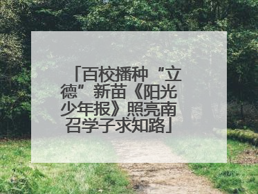 百校播种“立德”新苗《阳光少年报》照亮南召学子求知路