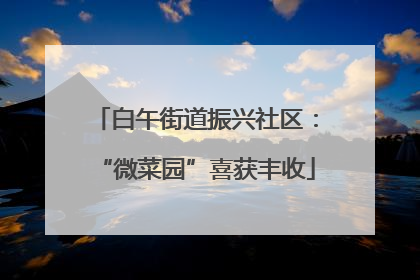 白午街道振兴社区：“微菜园”喜获丰收