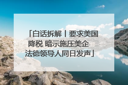 白话拆解丨要求美国降税 暗示施压美企 法德领导人同日发声
