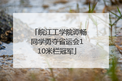皖江工学院谭畅同学勇夺省运会110米栏冠军