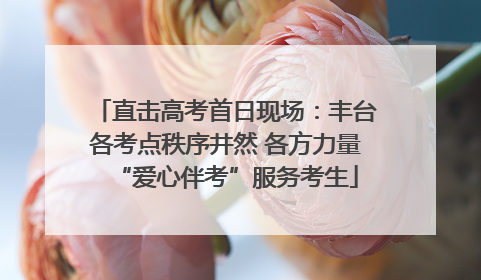 直击高考首日现场：丰台各考点秩序井然 各方力量“爱心伴考”服务考生