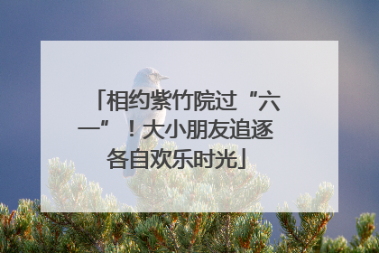 相约紫竹院过“六一”！大小朋友追逐各自欢乐时光