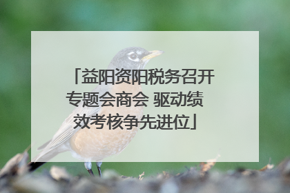 益阳资阳税务召开专题会商会 驱动绩效考核争先进位
