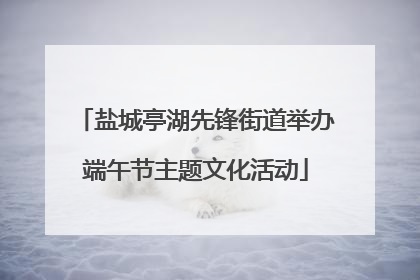 盐城亭湖先锋街道举办端午节主题文化活动
