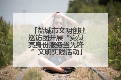 盐城市文明创建巡访团开展“党员亮身份服务当先锋”文明实践活动