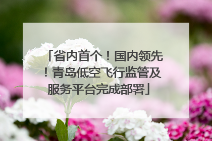 省内首个！国内领先！青岛低空飞行监管及服务平台完成部署