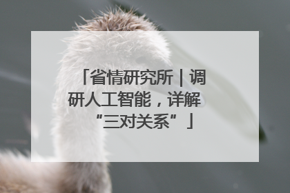 省情研究所｜调研人工智能，详解“三对关系”