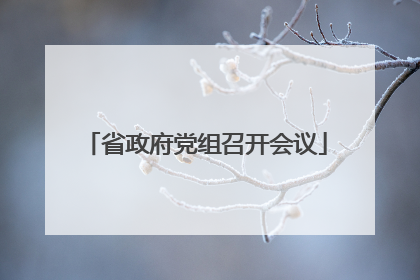 省政府党组召开会议