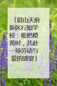 眉山天府新区行知学校：枇杷橙黄时，共赴一场劳动与爱的盛宴