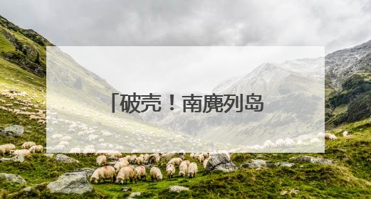 破壳！南麂列岛“神话之鸟”孵出今年首只小雏鸟