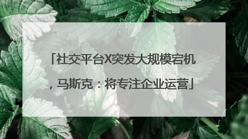 社交平台X突发大规模宕机，马斯克：将专注企业运营