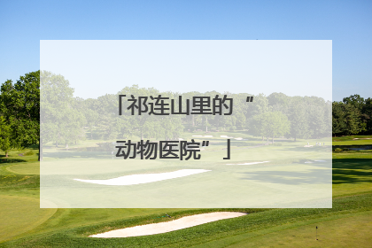 祁连山里的“动物医院”