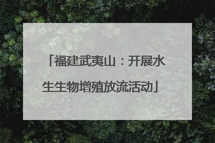 福建武夷山：开展水生生物增殖放流活动