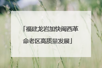福建龙岩加快闽西革命老区高质量发展